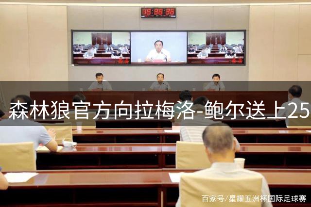 森林狼官方向拉梅洛-鲍尔送上25岁生日祝福
